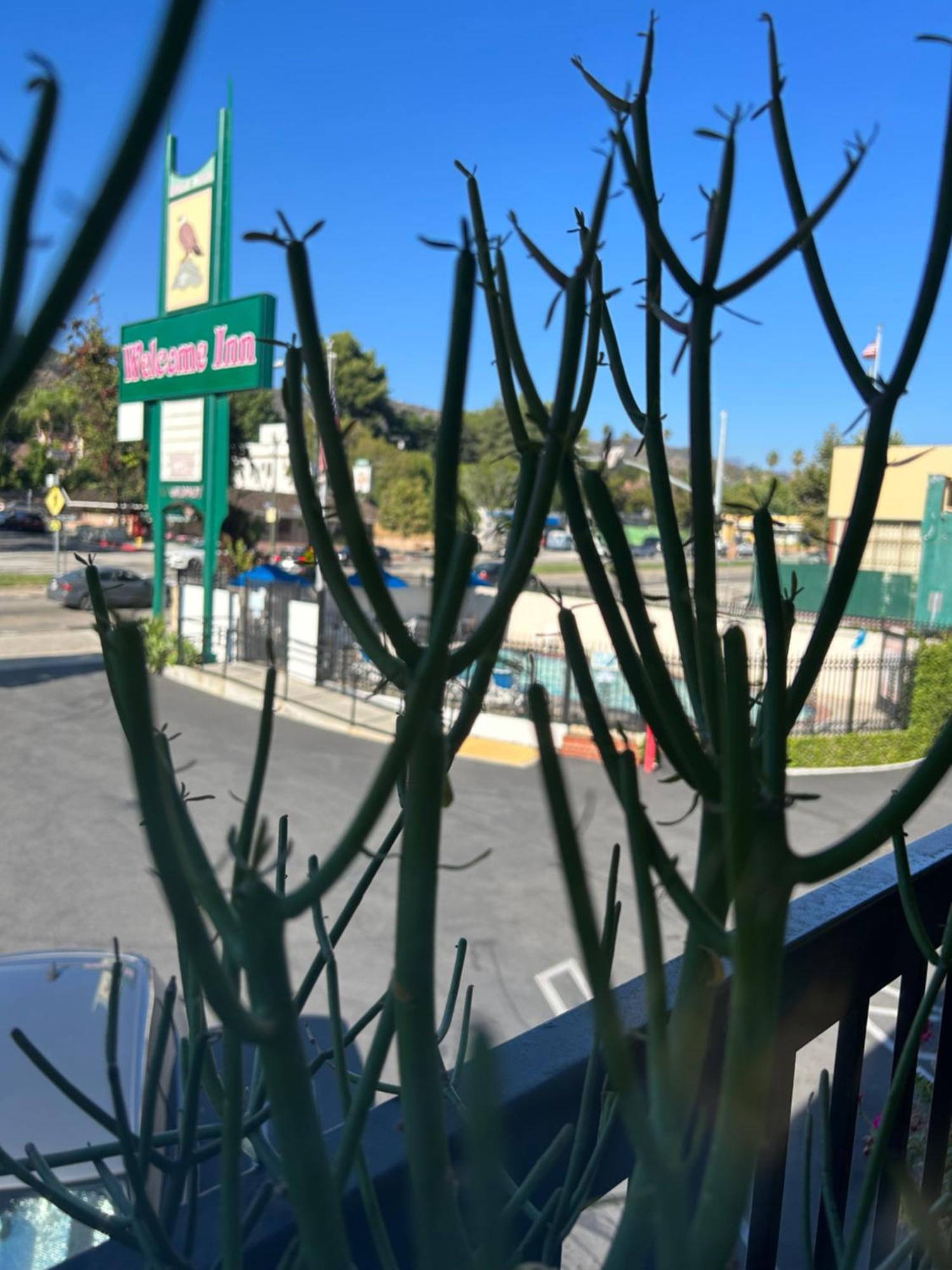 Welcome Los Ángeles